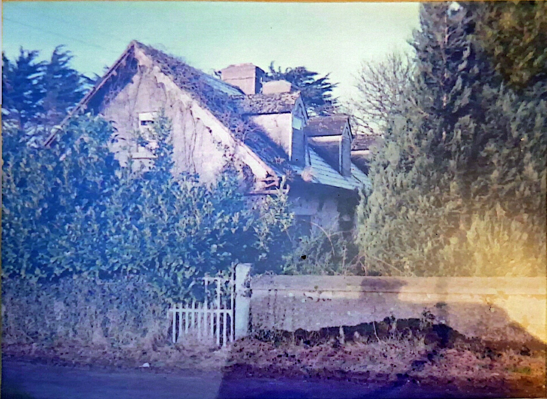 The Forge building derelict and overgrown behind a garden gate in 1996